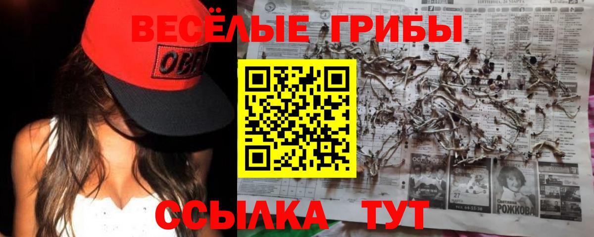 Псилоцибиновые грибы Cubensis  Вход с VPN  Кропоткин 